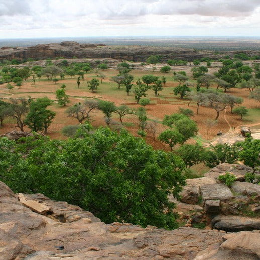 Dogon country Dogon country