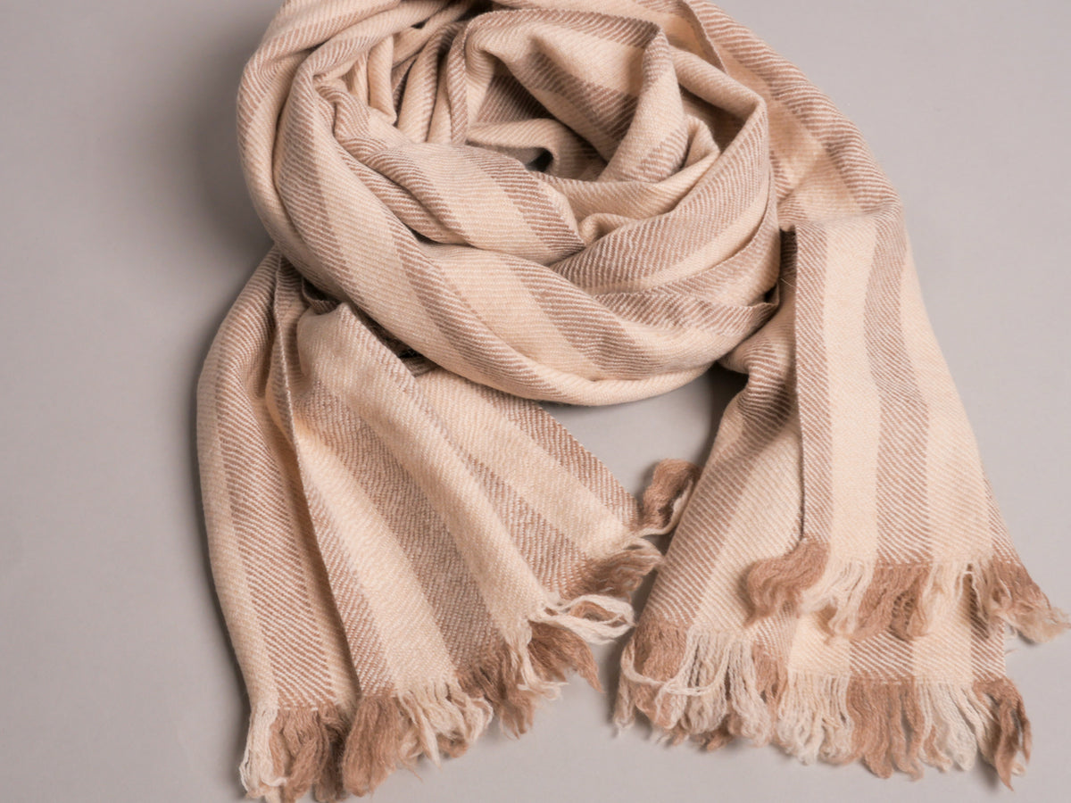 Pashmina de Ladakh, IG Pashmina 