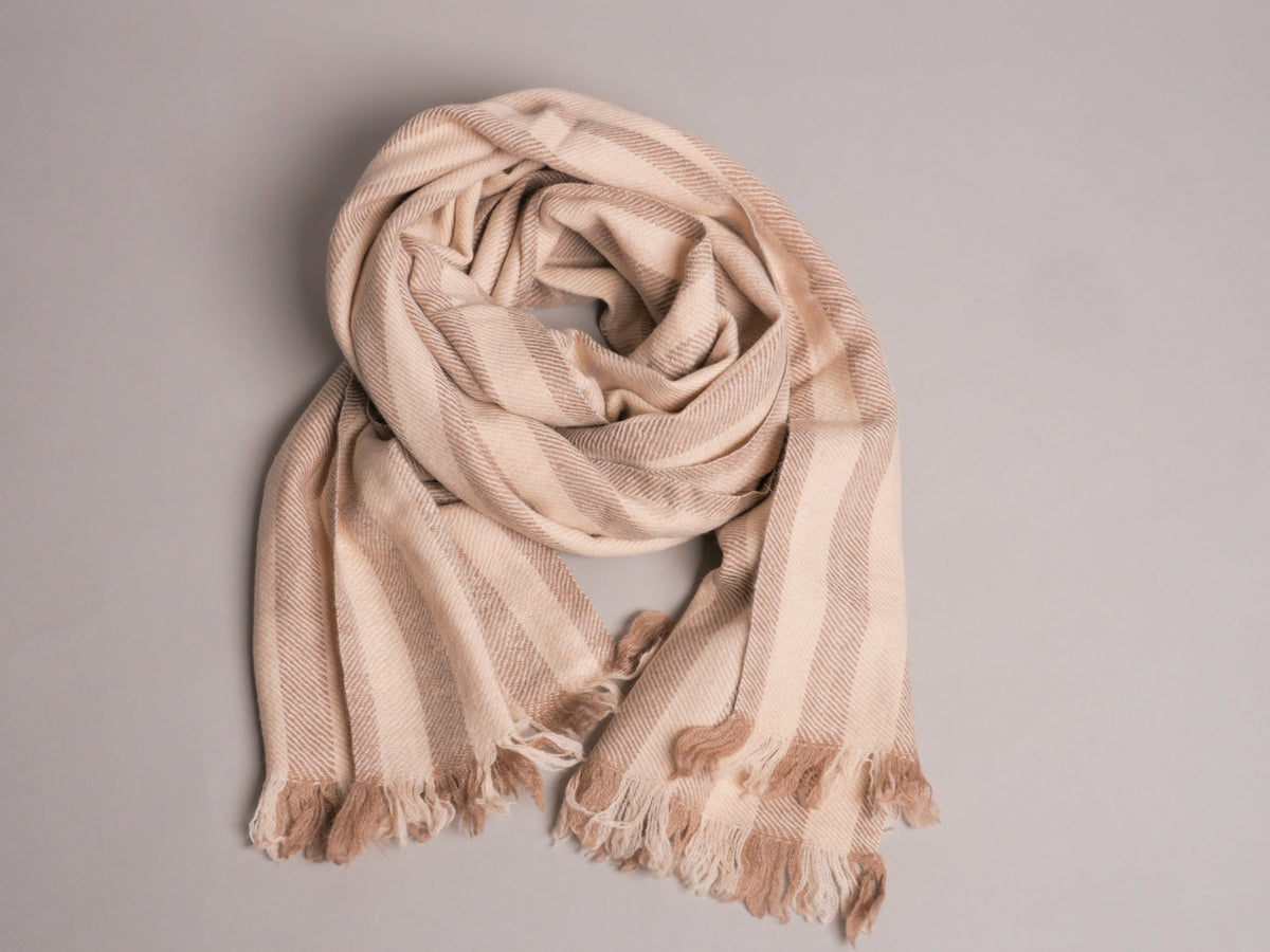 Pashmina de Ladakh, IG Pashmina  Main image