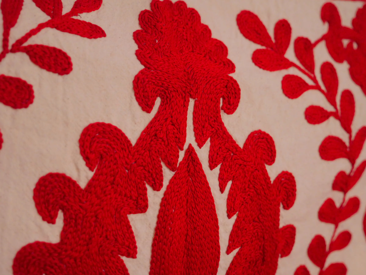 Contemporary Mochi Suzani Rouge