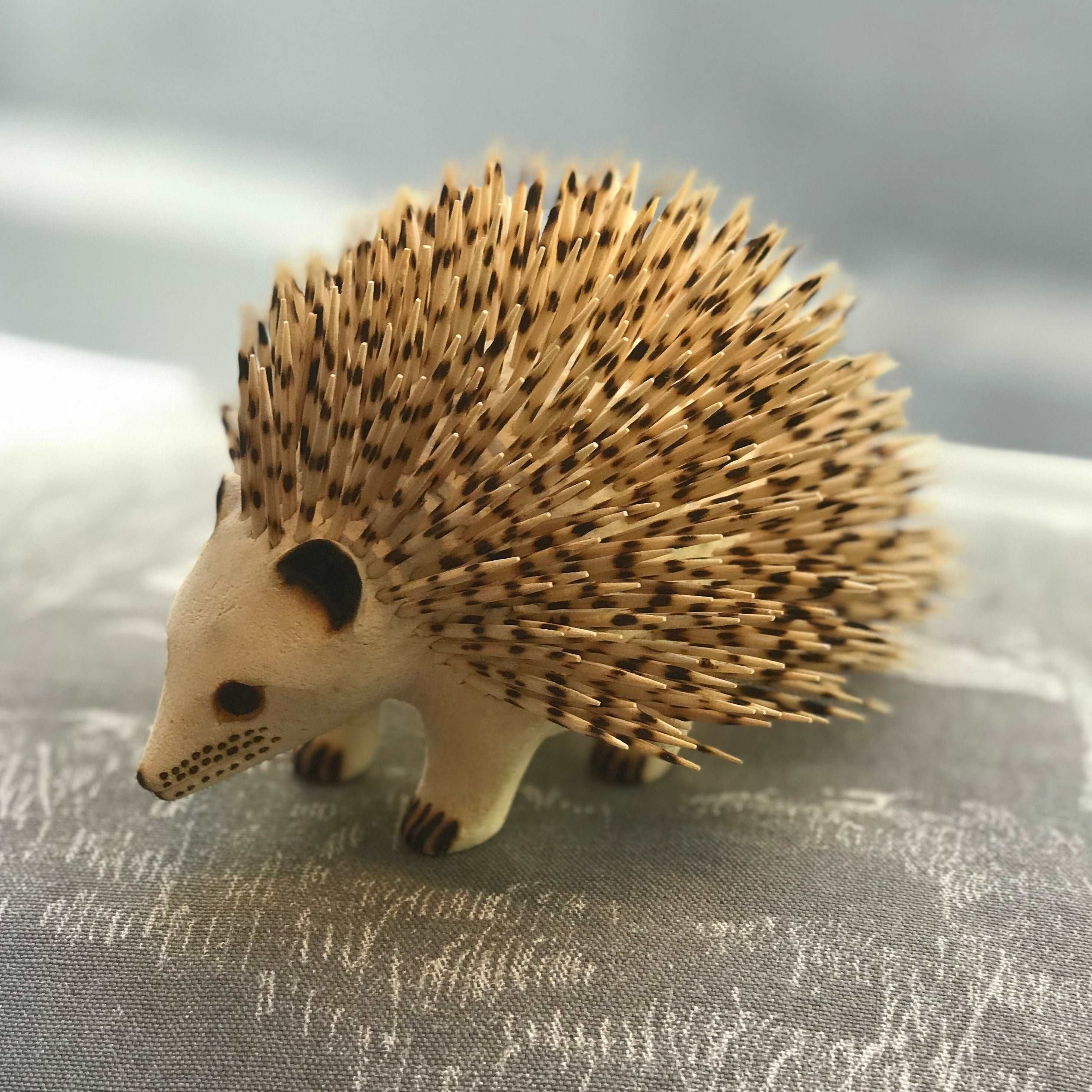 Hedgehog by Lameck Tayengwa
