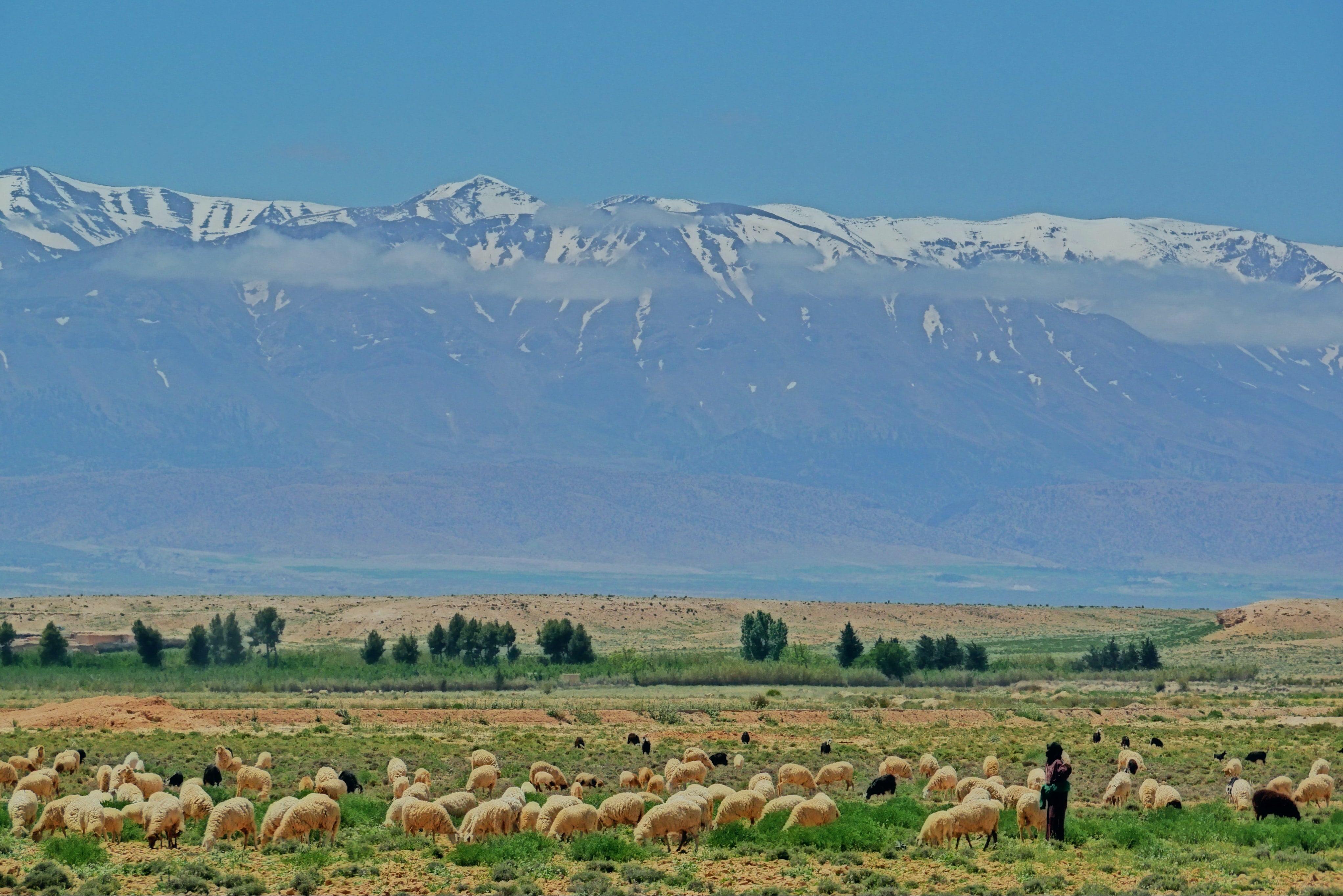 Morocco, Atlas Mountains photo by Tienko Dima
